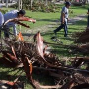Organizan mega jornada de limpieza en Puerto Morelos tras huracán "Beryl"