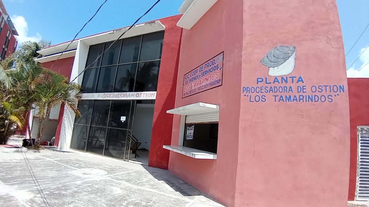 Cooperativa Ostionera espera recibir su permiso de pesca