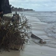 Principal impacto de Beryl fue la erosión de Playas en Playa del Carmen