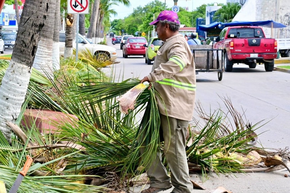 Sindicato de los Tres Poderes solo afectó a los trabajadores del Ayuntamiento del Carmen