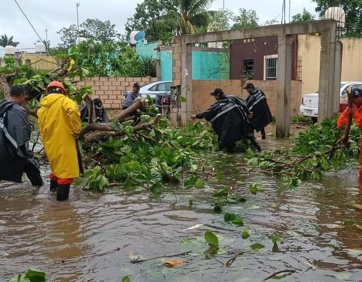 Incidentes menores y sin pérdidas humanas que lamentar tras paso de “Beryl” en Yucatán