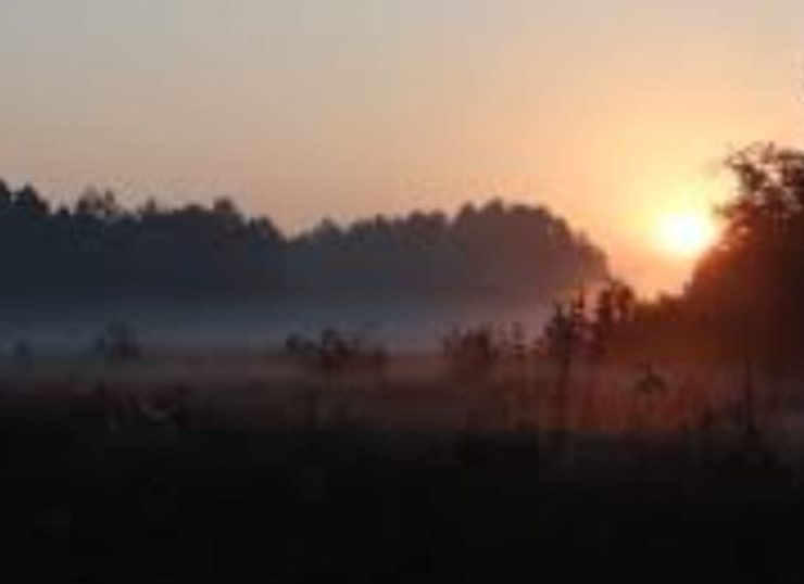 Oración: A que madruga el padre santísimo sale en su ayuda