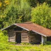 ORACIÓN: “Hoy confesamos : ¡Tú, padre santo eres nuestro único refugio y fortaleza!
