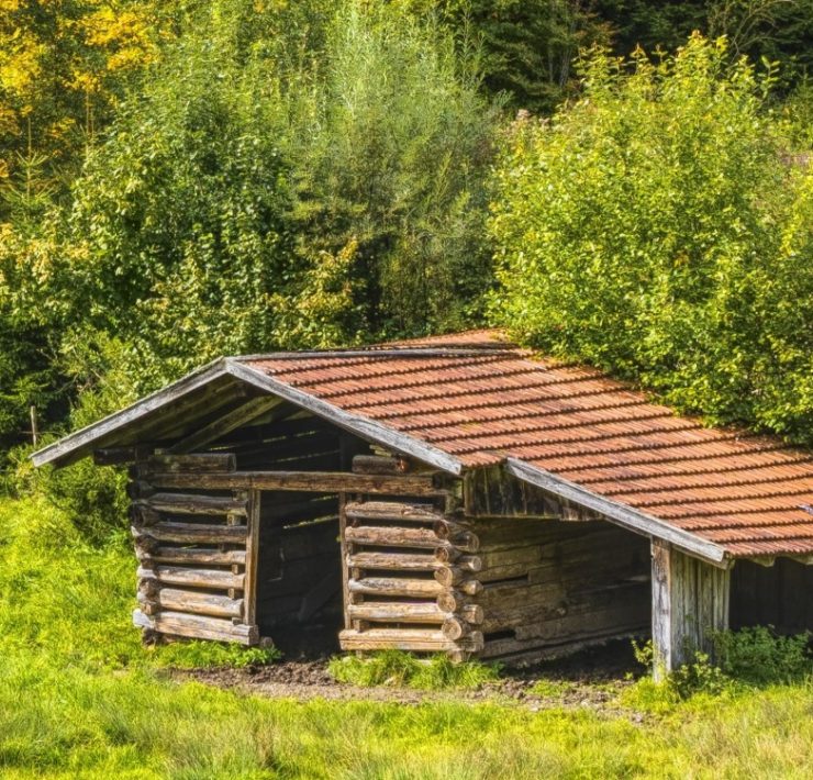 ORACIÓN: “Hoy confesamos : ¡Tú, padre santo eres nuestro único refugio y fortaleza!