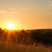 ORACIÓN ¡Amemos la libertad!