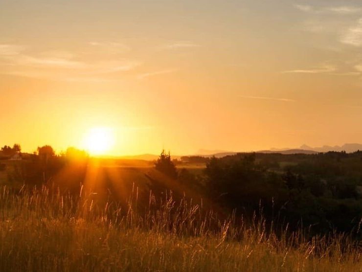 ORACIÓN ¡Amemos la libertad!