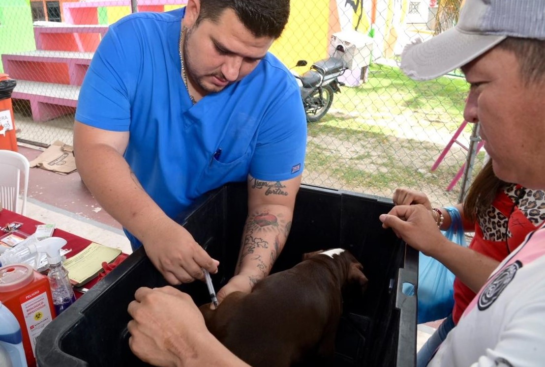 Más de mil vacunas antirrábicas ha aplicado Bienestar Animal