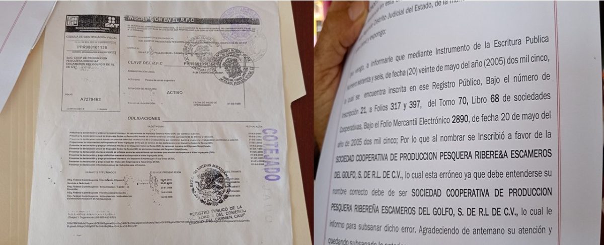 Error de SAT afecta a cooperativas pesqueras