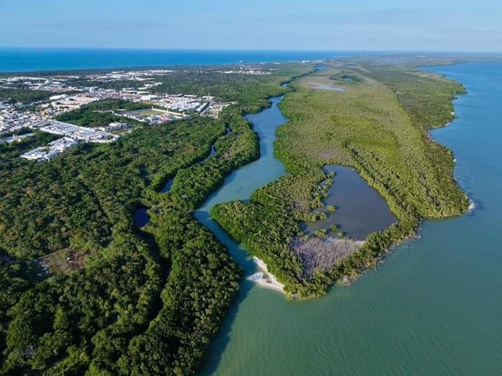 MAAS irá contra empresas de transporte de basura y aguas residuales