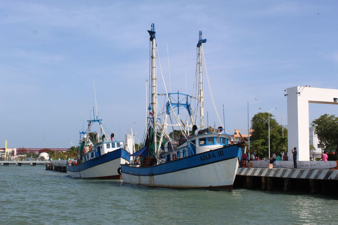 El 6 de septiembre zarparán los barcos camaroneros a Tamaulipas