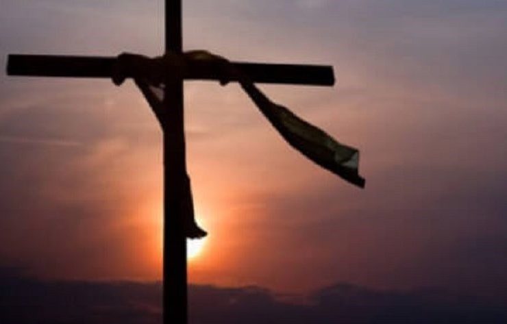 Porque en ti está la fuente de la vida y en tu luz podemos ver la luz (Salmo 36:9)