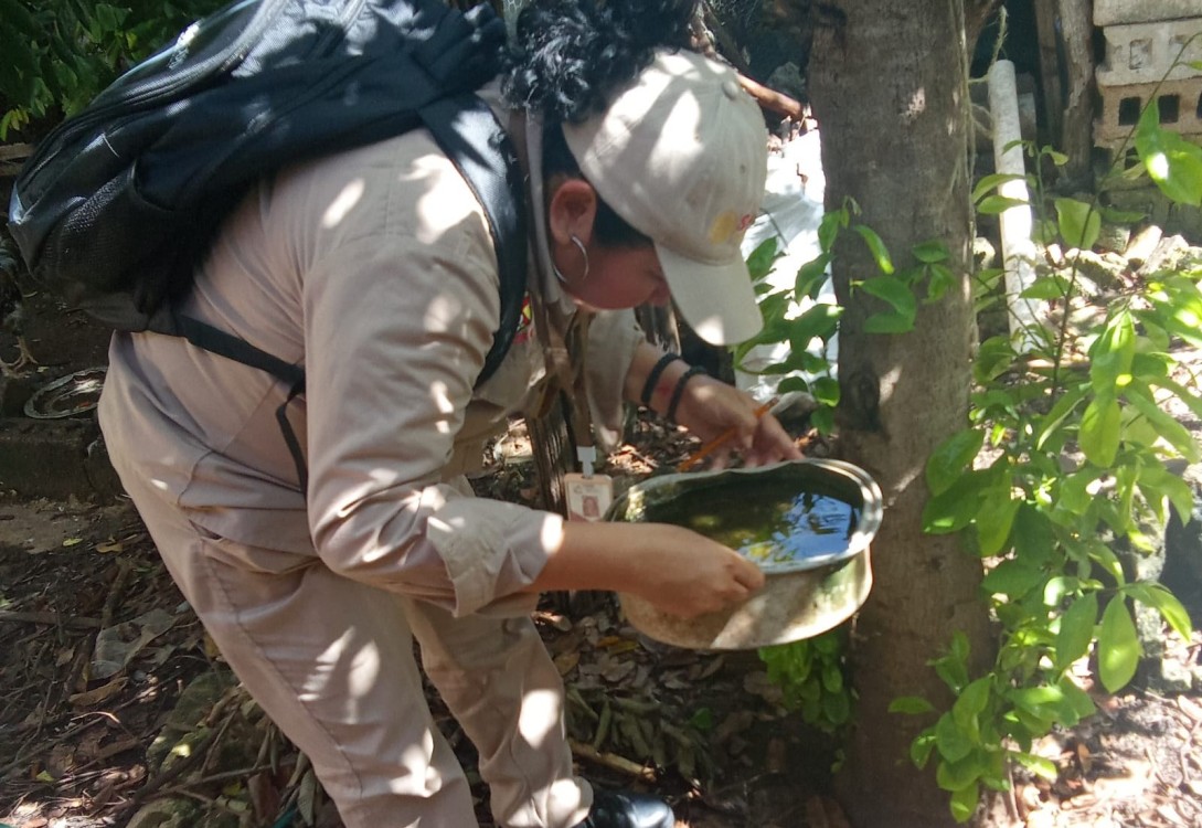 Confirman 250 casos de dengue en Carmen y Palizada