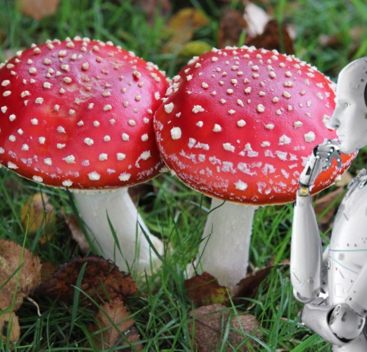 Una familia fue hospitalizada por culpa de IA