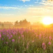 ORACIÓN “Hermanos: ¡Elevemos nuestras almas al señor!