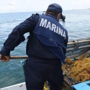 Gobierno de México destaca el trabajo del Gobierno de Quintana Roo en la gestión del Sargazo