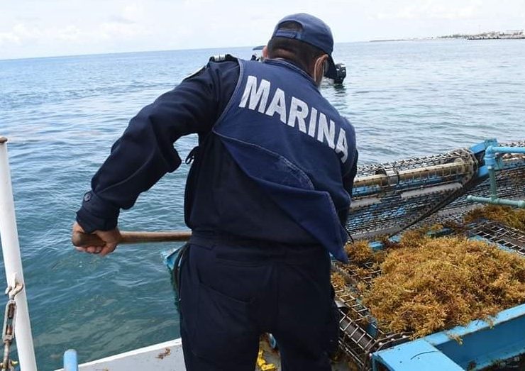 Gobierno de México destaca el trabajo del Gobierno de Quintana Roo en la gestión del Sargazo