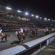 El Hipódromo de las Américas.