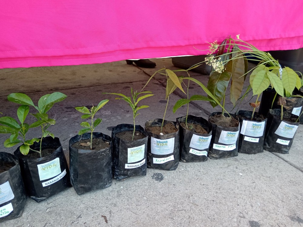 Coyotes abaratan los costos de producción