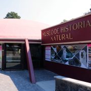 El Museo de Historia Natural.