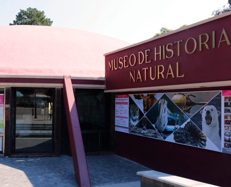 El Museo de Historia Natural.