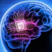 Un chip cerebral combate la epilepsia