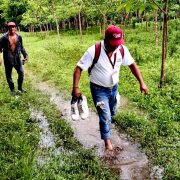 Registra Censo para el Bienestar avance de 50 por ciento Javier May