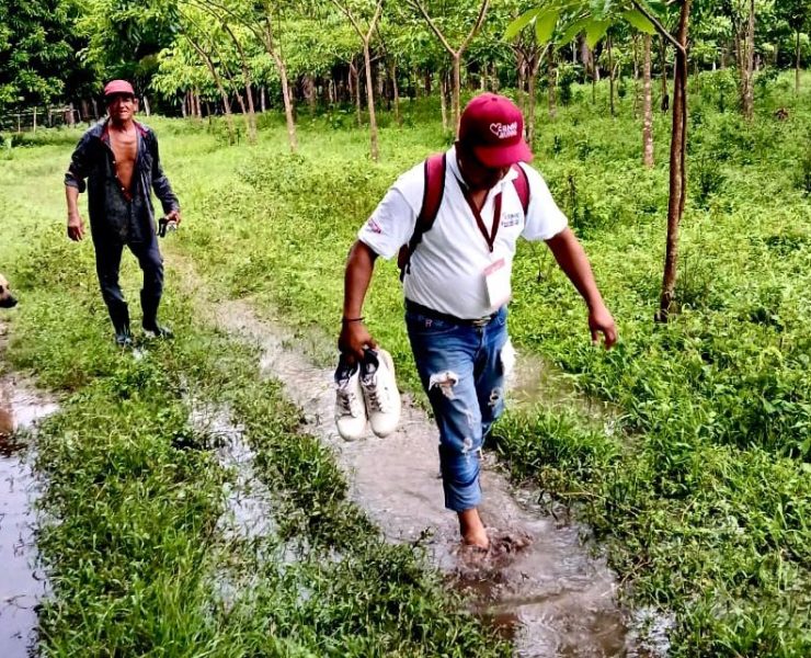 Registra Censo para el Bienestar avance de 50 por ciento Javier May