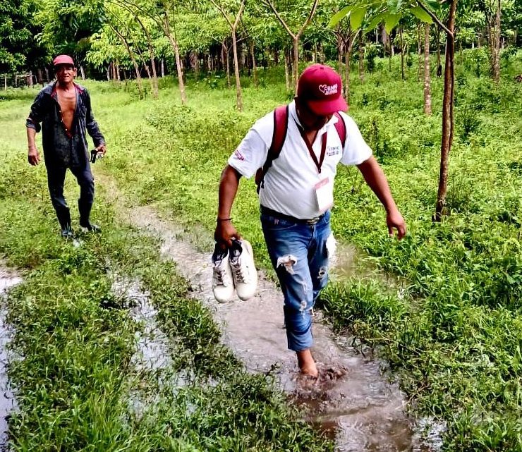 Registra Censo para el Bienestar avance de 50 por ciento Javier May