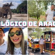 El Zoológico de San Juan de Aragón.