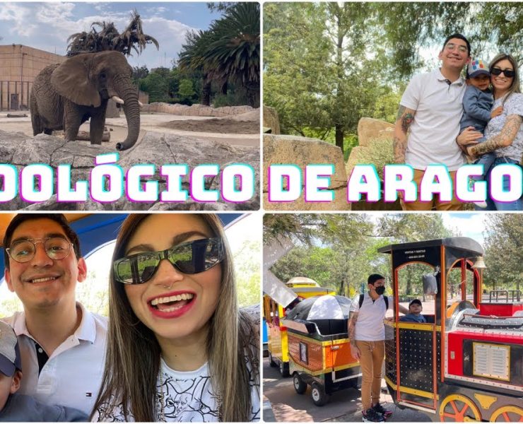 El Zoológico de San Juan de Aragón.