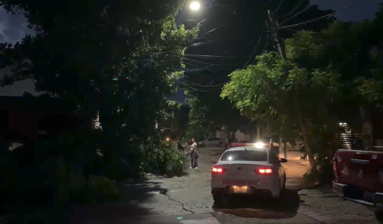 Viento derriba un árbol en Ciudad del Carmen