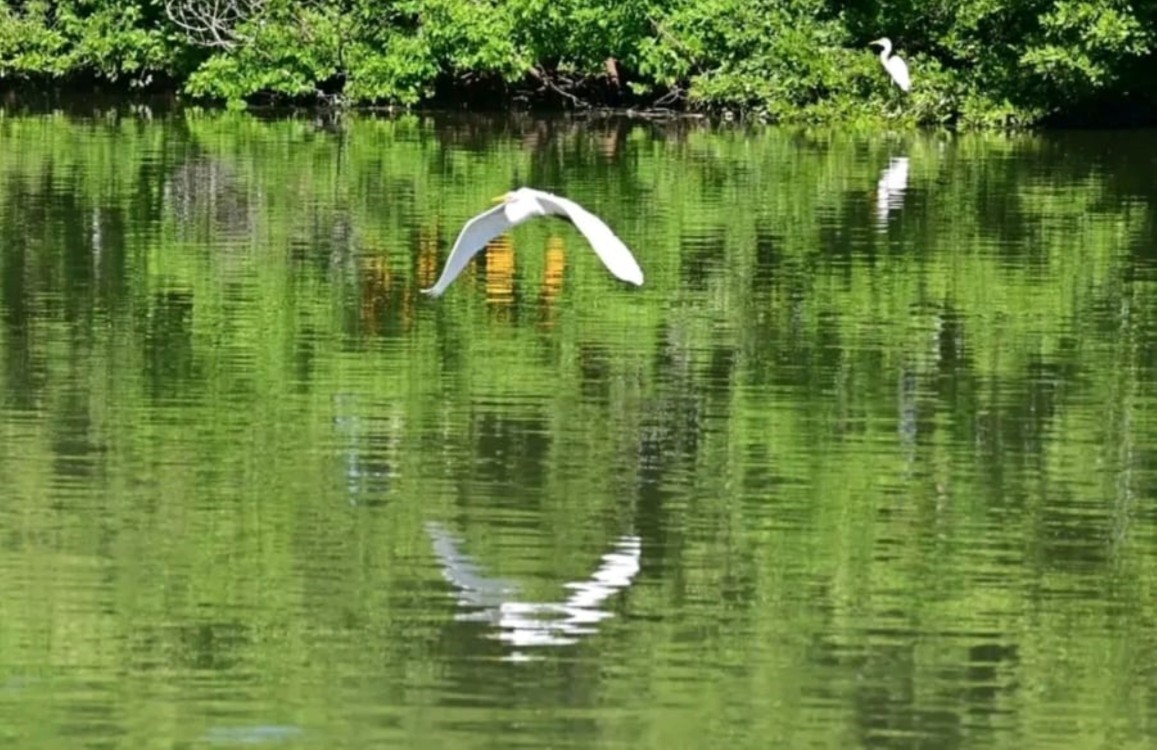 Empresarios carmelitas deben olvidarse de Pemex