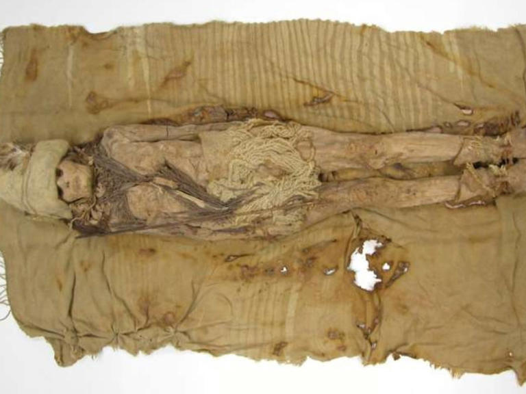 Un hallazgo fascinante