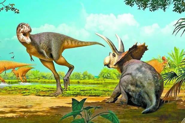 Nueva Especie: Labocania aguillonae