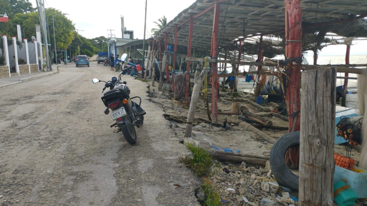 Basura plástica contamina playas de Isla Aguada