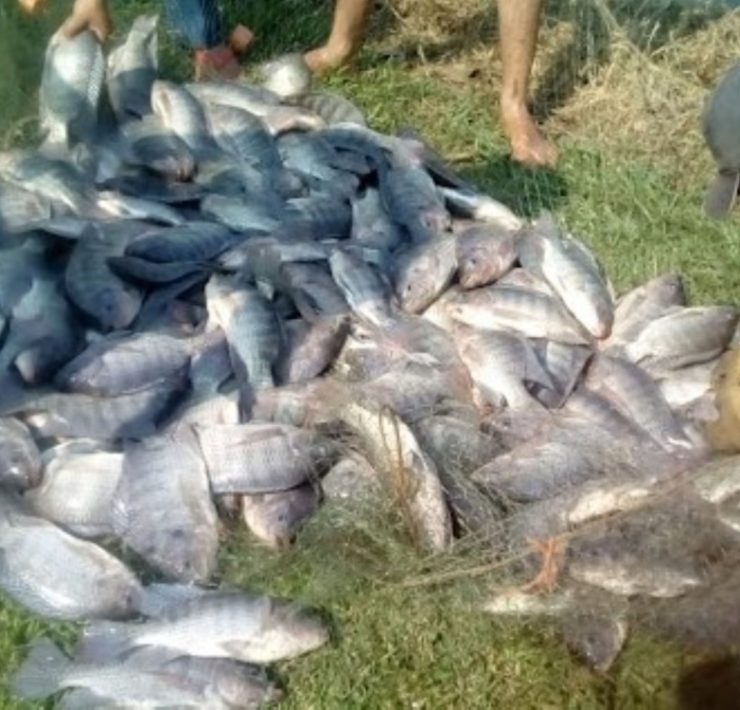 Deteriorada la actividad acuícola en la Península de Atasta