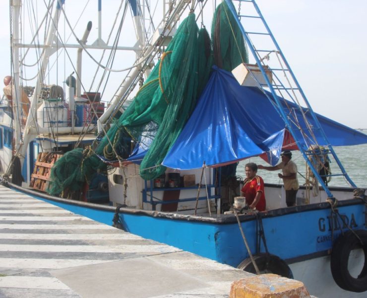 A primera hora de mañana se levanta la veda del Camarón en Tamaulipas