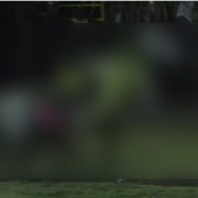 Caballo sacrificado en Yucatán tras brutal cornada en evento público