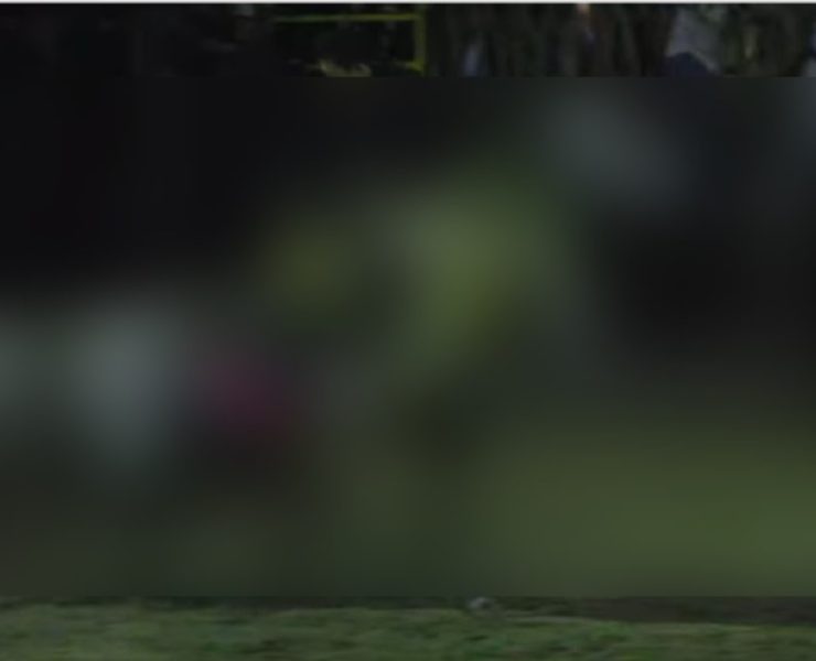 Caballo sacrificado en Yucatán tras brutal cornada en evento público