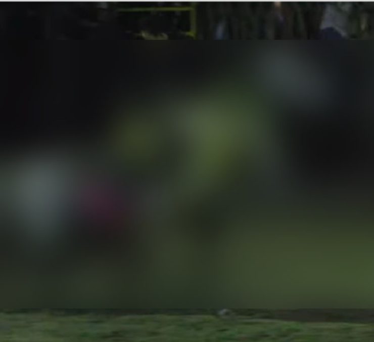 Caballo sacrificado en Yucatán tras brutal cornada en evento público