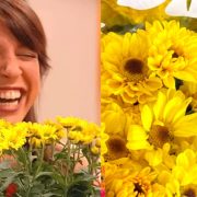 ¿Cuándo se regalan las flores amarillas?