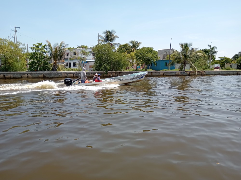 Desacuerdo por el cambio de proveedor de motores fuera de borda