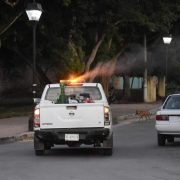 ¡Atención! SSY intensifica fumigación contra Dengue, Zika y Chikungunya