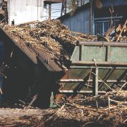 Denuncian desfalco de 185 MDP en Ingenio azucarero La Joya