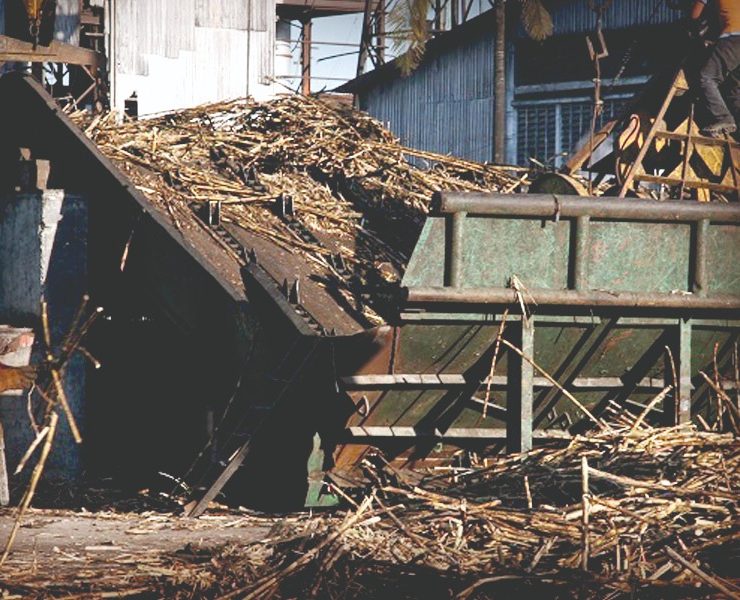 Denuncian desfalco de 185 MDP en Ingenio azucarero La Joya