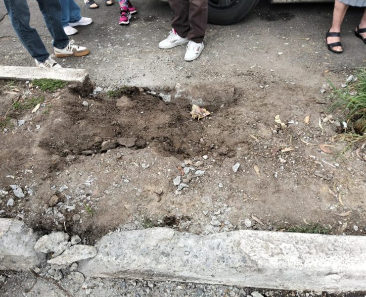 Vecinos de Iztacalco denuncian influyentismo en obras no autorizadas en área verde