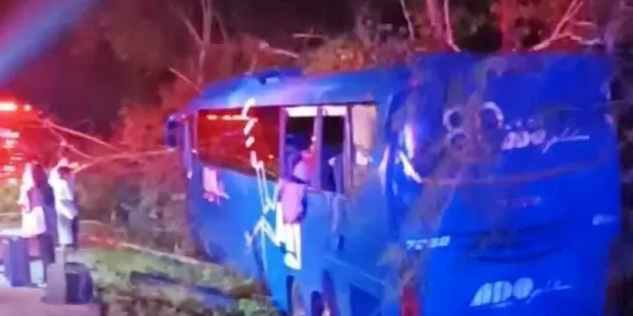 Detalles del Accidente