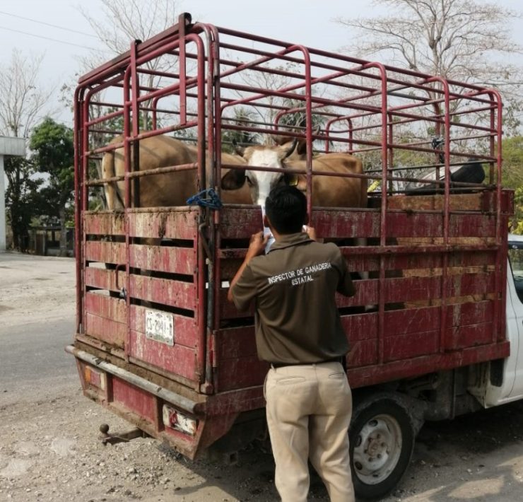 Ganaderos piden mayor control en los puntos de verificación
