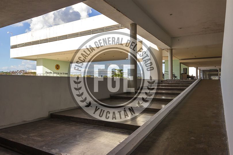 Casos Relevantes en Yucatán