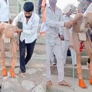 ¡Increíble! Un hombre de 188 años en la India. Vídeo